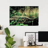 Poster Alligator américain (Bureau à domicile)