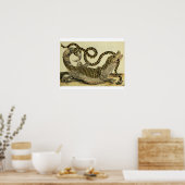 Poster Alligator and Snake, 1730 (gravure en couleur) (Cuisine)