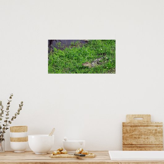 Poster Alligator bébé (Cuisine)