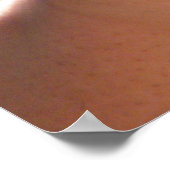 Poster Alligator bébé (Coin)