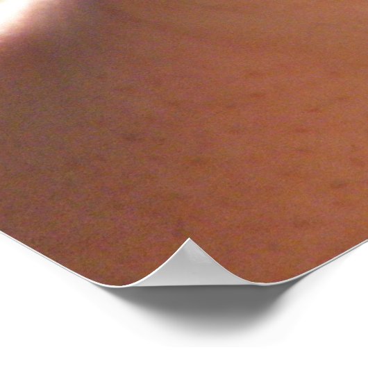 Poster Alligator bébé (Coin)