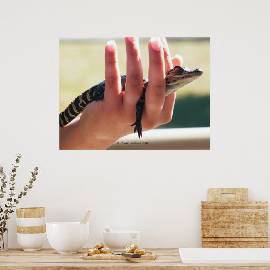Poster Alligator bébé (Cuisine)