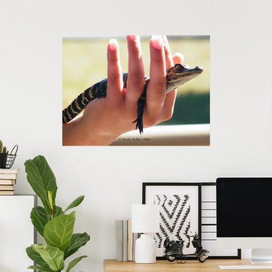 Poster Alligator bébé (Bureau à domicile)