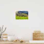 Poster Alligator dans le Parc National des Everglades, Fl (Cuisine)