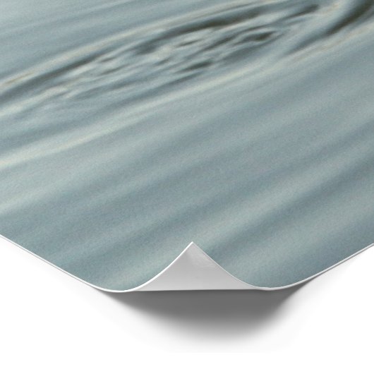 Poster Alligator dans l'eau (Coin)