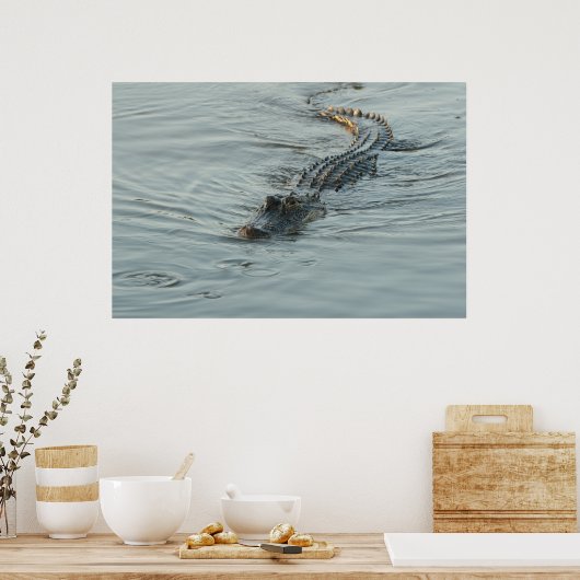 Poster Alligator dans l'eau (Cuisine)