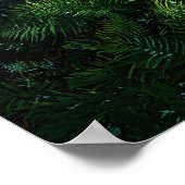 Poster Alligator dans les eaux peu profondes des zones hu (Coin)
