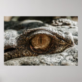 POSTER ALLIGATOR EYE (Devant)