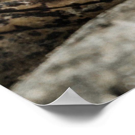 POSTER ALLIGATOR EYE (Coin)