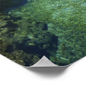 Poster Alligator Hole, Black River Town, Jamaïque (Coin)