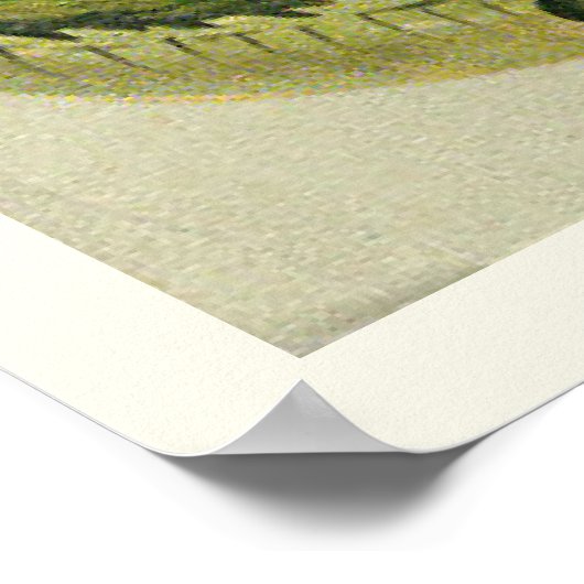 Poster Alligator Imprimer 1 (Coin)