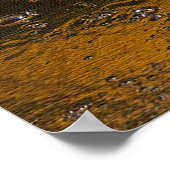 Poster Alligator Sky (Coin)