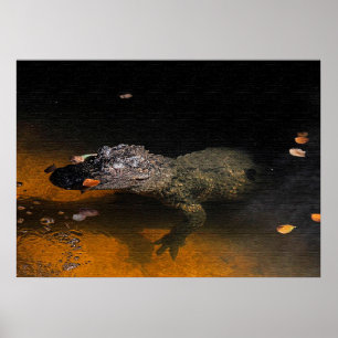 Poster Alligator Sky