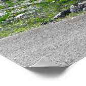 Poster Alligator sur Alligator Alley, Fl (Coin)