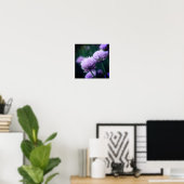Poster Allium à échalon violet fleuri (Bureau à domicile)