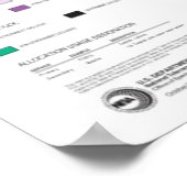 Poster Allocations de radiofréquences aux États-Unis (Coin)