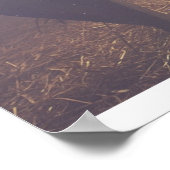 Poster Allons, Adorons-Le. (Coin)