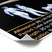 Poster Allosaurus - Biology Jurassic (Coin)