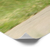 Poster Allroad Wheelie (Coin)