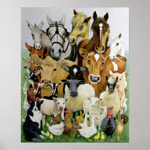 Poster Allsorts animal