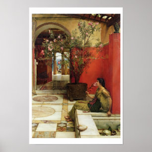 Poster Alma-Tadema   An Oleander, 1882