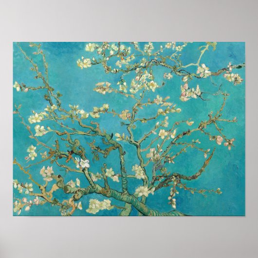 Poster Almond Blossom, 1890 par Vincent van Gogh (Devant)