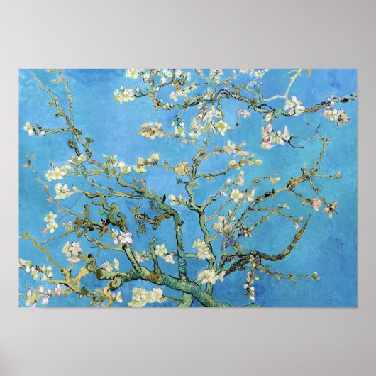 Poster Almond Blossom Vincent Van Gogh (Devant)