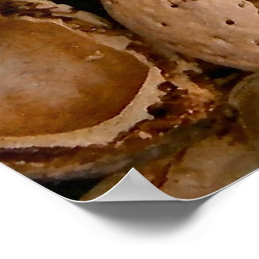 Poster Almonds coques vides craqués (Coin)