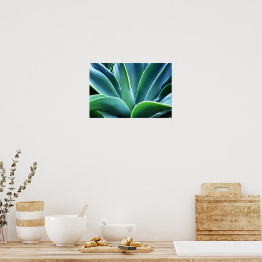 Poster Aloe Feuille (Cuisine)