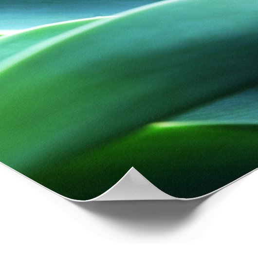 Poster Aloe Feuille (Coin)