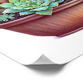 Poster Aloe là | Aloe Vera Pun (Coin)