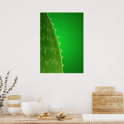 Poster Aloe plante (Cuisine)