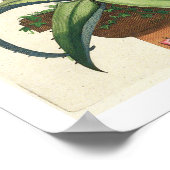 Poster Aloe Vera Vulgaris, de 'Phytographia Curiosa', p (Coin)