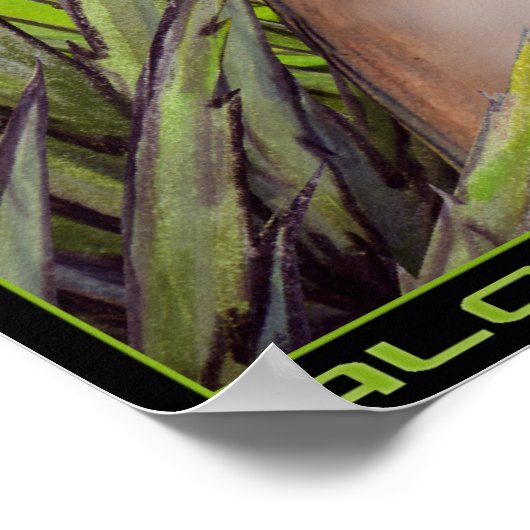 POSTER ALOEVENUS (Coin)