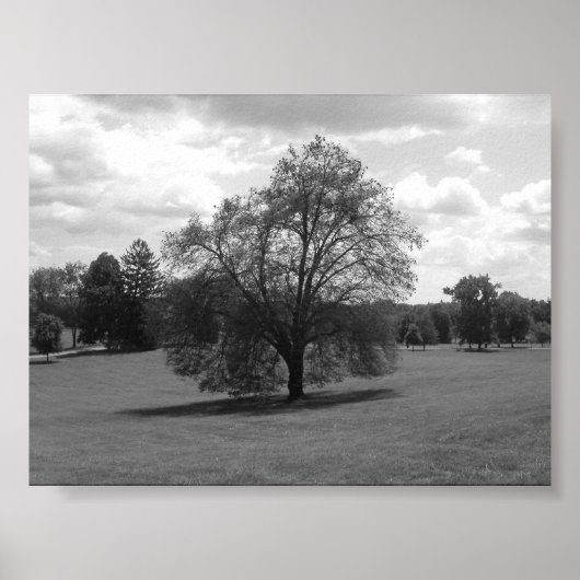 Poster Alone (Devant)