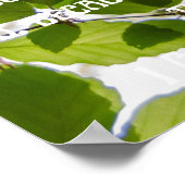 Poster Alors l'arbre chantera la foi (Coin)