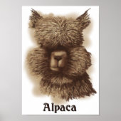 Poster Alpaca (Devant)