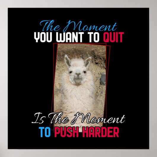 Poster Alpaca Llama - Push Harder Encouragement (Devant)