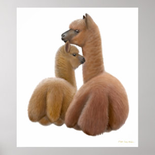 Poster Alpaca Love Print