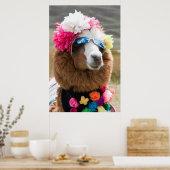 Poster Alpaca, Pachacoto, Cordillère Blanca, Ancash (Cuisine)