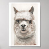 Poster Alpaca Smile Art Imprimer Prêt À Fragmenter Mirand (Devant)