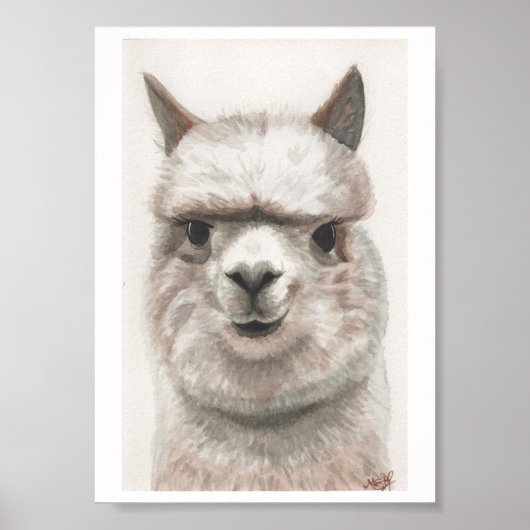 Poster Alpaca Smile Art Imprimer Prêt À Fragmenter Mirand (Devant)