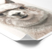 Poster Alpaca Smile Art Imprimer Prêt À Fragmenter Mirand (Coin)