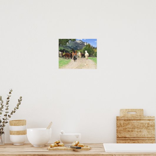 Poster Alpacas (Cuisine)