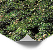 Poster Alpes de Suisse (Coin)