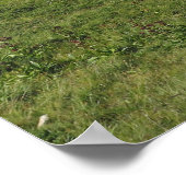 Poster Alpes françaises (Coin)