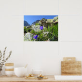 Poster Alpes françaises (Cuisine)