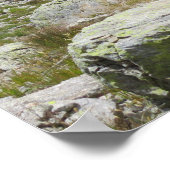 Poster Alpes françaises Ibex Chamonix (Coin)