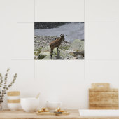 Poster Alpes françaises Ibex Chamonix (Cuisine)