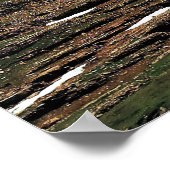 Poster Alpes suisses de Grindelwald (Coin)